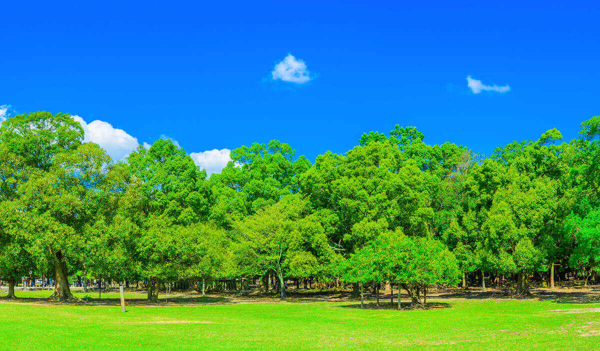 コウキ株式会社